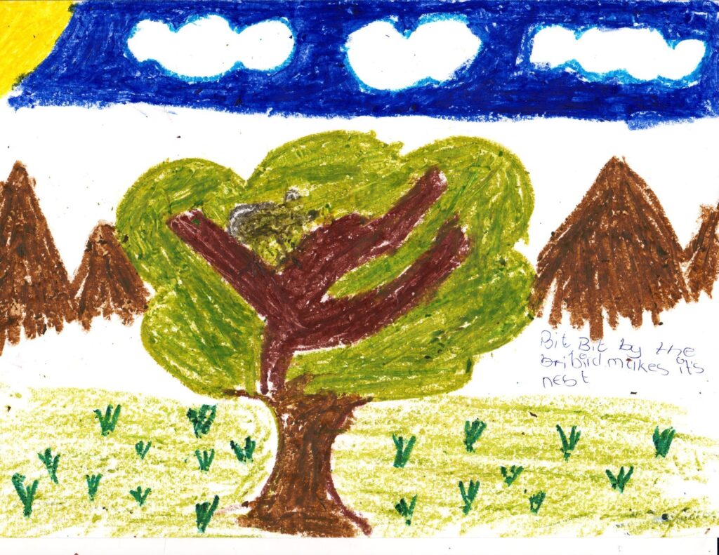 Namibie-proverbe-dessin-enfant-1 2