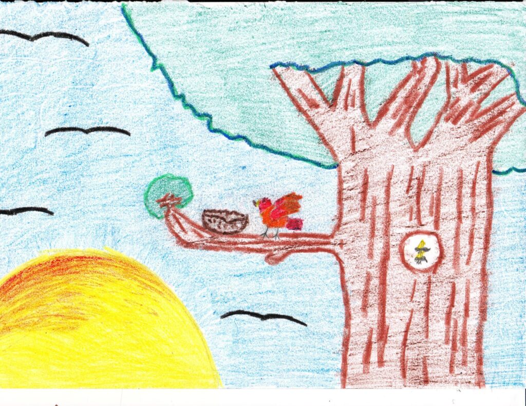 Namibie-proverbe-dessin-enfant-5 2